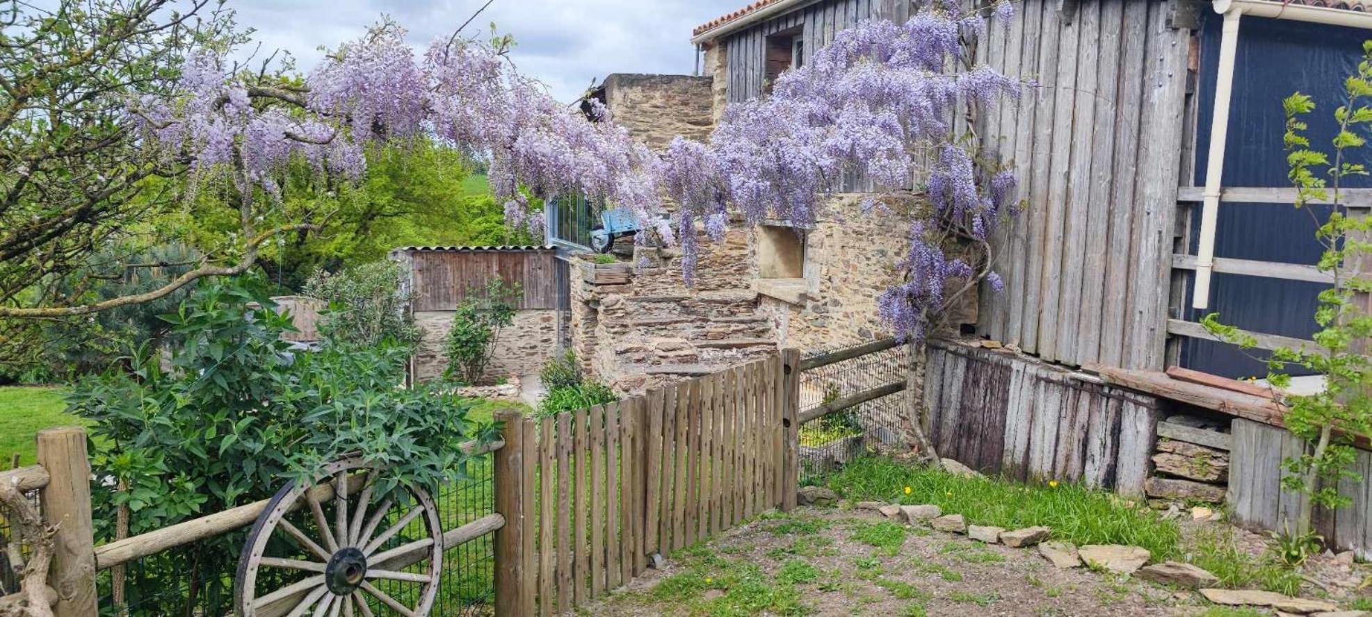 Aux Yourtes De La Fabrique Saint-Florent-des-Bois ภายนอก รูปภาพ